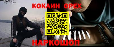 кокс Донской