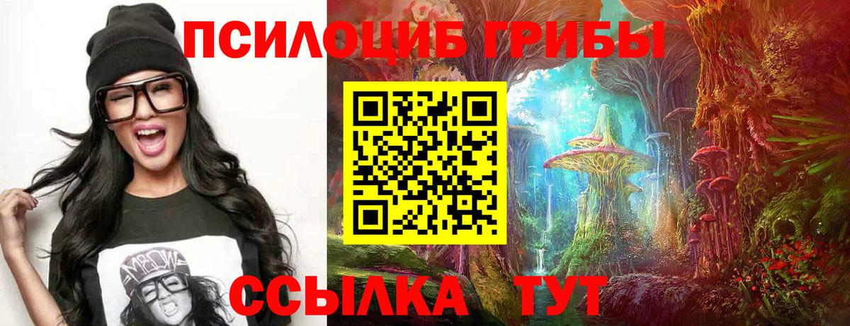 Кулебаки  Галлюциногенные грибы Magic Shrooms  Вход с VPN 