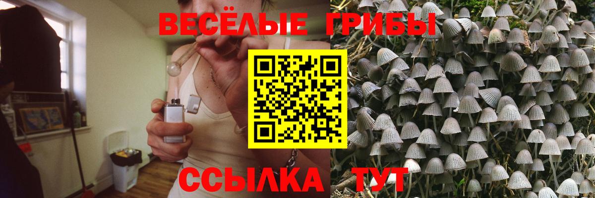APVP СК кристаллы  Кетамин  МЕФ кристаллы  МЕТАМФЕТАМИН  Вход с VPN  Канабис  Кулебаки  Кокаин  Гашиш  НБОМе 